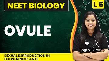 Ovule | Sexual Reproduction In Flowering Plants - L5 | NEET Biology | Class 12 Biology