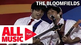 THE BLOOMFIELDS – Tuloy Na Tuloy Pa Rin Ang Pasko (MYX MO! 2008)