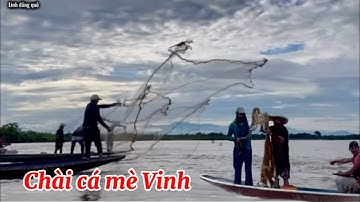 Chài cá mè dinh trên dòng sông Campuchia quá trời nhiều ￼