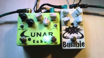 DMB Lunar Echo Delay & Bumble Bass Fuzz on Guitar - Demo