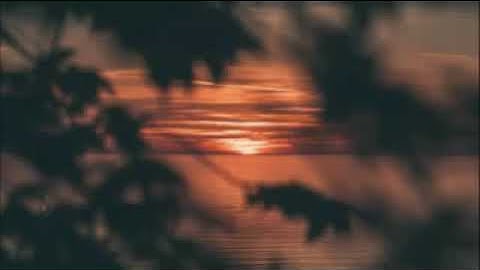 القارئ اسلام صبحي اواخر سورة النمل تلاوة عذبة تفيض جمالاً