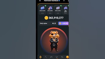 August 8 Daily Cipher on hamster kombat |Code for 1m coins unveiled on hamster kombat today #HMSTR