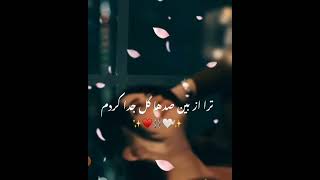 استوری عاشقانه ❤️ با صدای احمد ظاهر 😎