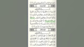 Al-Qari'ah, AbdulMuhsin al-Qasim, سورة القارعة