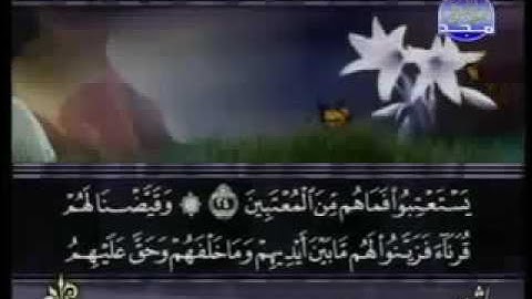 41. سورة فصّلت للقارئ الشيخ سعد الغامدي