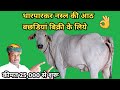 थारपारकर देसी गाय की बछडियां/Tharparkar Desi Cow Dairy Farm in India Hindi.