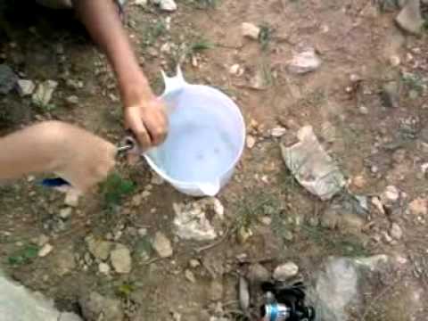 how to catch a fish without hurting them youtube how to catch a fish without hurting them youtube