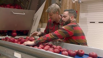 Turning Apples into Hard Cider