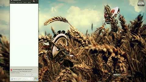 Ubuntu 8.10 My Install