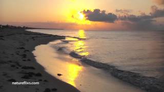 Video thumbnail of "Coast of Marseilles - Jimmy Buffett"