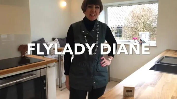 Flylady Diane - Getting started on difficult days ...