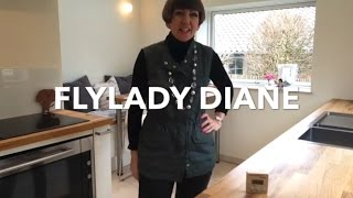 Flylady Diane - Getting started on difficult days (TOTH, Jedi mind trick)