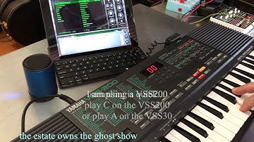 Yamaha VSS200 VSS30 Animoog LoFi Moog Stranger Things Vaporwave Creepfest