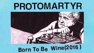 Watch Protomartyr Born To Be Wine video