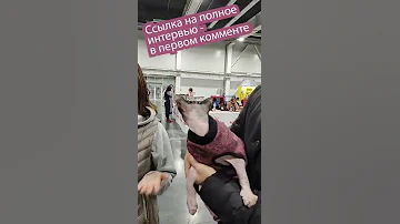 Болезни сфинксов