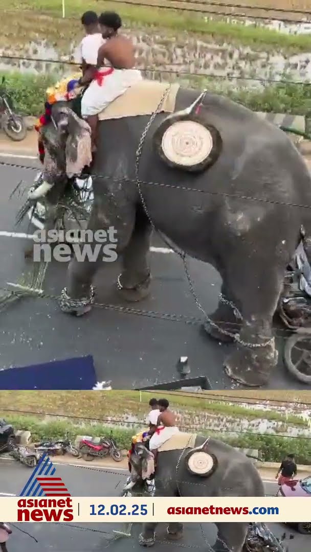 'ആനയോടി ​ഗയ്സ്...', പെരുമ്പിലാവ് പുതിയഞ്ചേരിക്കാവ് ക്ഷേത്രത്തിൽ ആനയിടഞ്ഞ ദൃശ്യങ്ങൾ