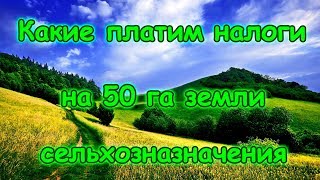 Какие у нас налоги на землю сельхоз. назначения. (01.18г.) Семья Бровченко. Какие у нас налоги на землю сельхоз. назначения. (01.18г.) Семья Бровченко.