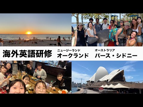 【中古】 オーストラリア・ニュージーランド語学留学＆ワーキングホリデー/三修社/オセアニア交流センター 中古】 オーストラリア・ニュージーランド語学留学＆ワーキング