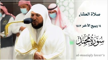 بأداء كردي يأسر القلب يرتل الشيخ ماهر المعيقلي ما تيسر من سورة محمد صلاة العشاء 14 ربيع اﻵخر 1443 |