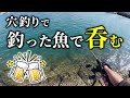 【穴釣り】釣った魚で晩酌したら美味すぎた！