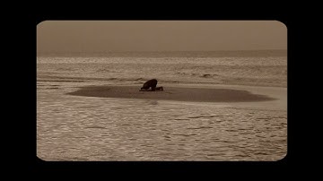 تلاوة خاشعة | محمد بو حسون