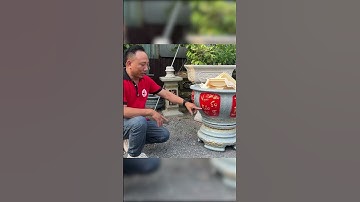 Khuôn Chậu Tròn Chum 68 Cải Tiến Lòng Trong