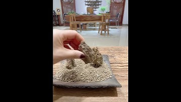 making a mini moon garden