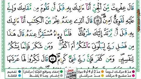 (مكررة) حفظ سورة النمل (8) للقارئ الشيخ محمد سايد