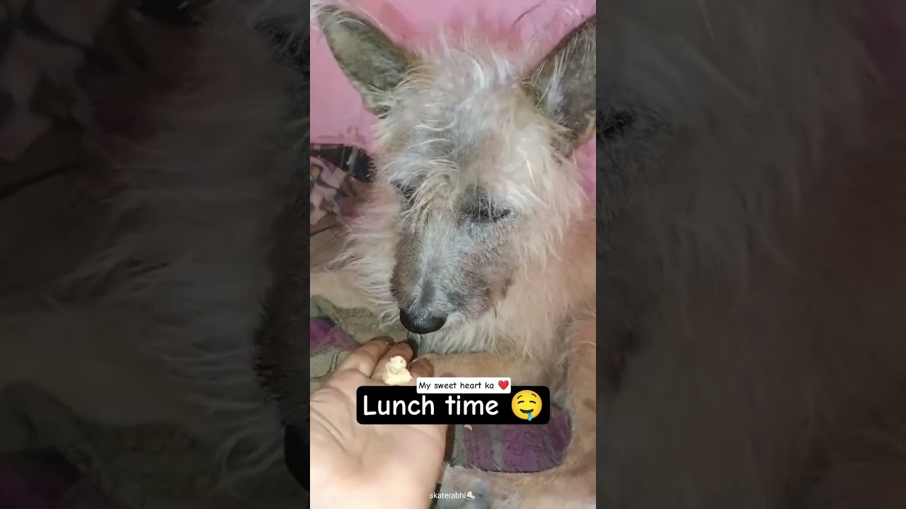 Lunch Time 😋 Please #subscribe #1000subscriber