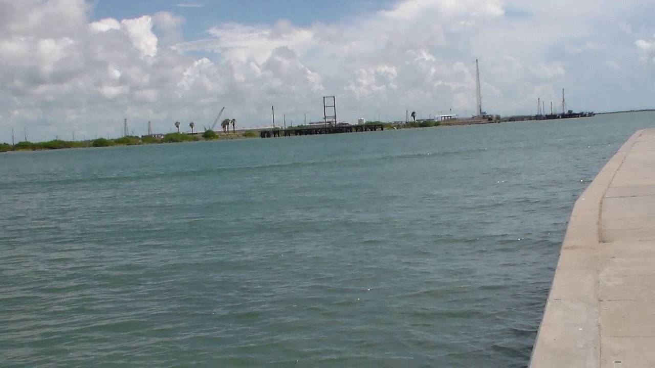 Dolphins Port Aransas YouTube