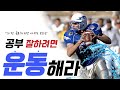 그럴 시간 없다고요? 시험 기간에도 운동을 꼭 하세요!! (인생을 바꿔주는 가장 좋은 습관, 운동) [3분 압축]