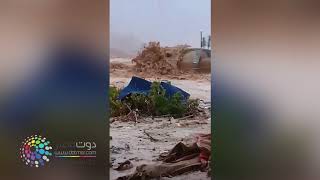 دوت مصر| سيول في العين السخنه