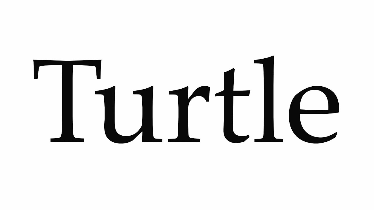 how-to-pronounce-turtle-youtube