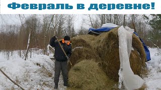 "Февральские НОВОСТИ" хозяйства! Жизнь в деревне ❄️❄️ ❄️