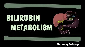 Bilirrubin Metabolism Explained | Jaundice