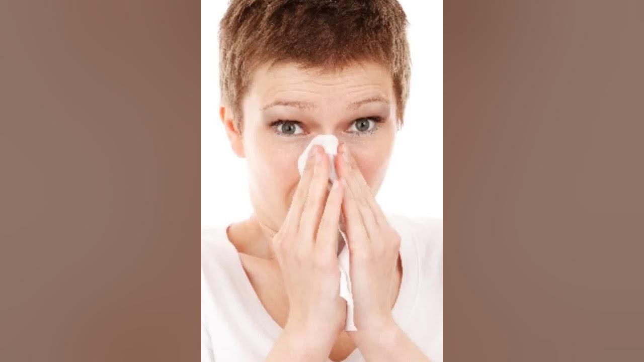 Sneeze sound effect Royalty free sound effects Sound effects