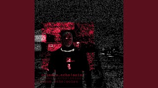 crimson_echo!noise - DudePlaya