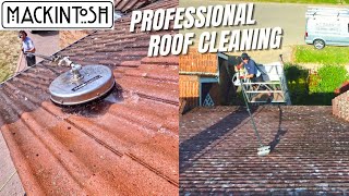 Our Professional Roof Cleaning Service