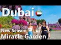 Dubai miracle garden new season 2024 walking tour 4k