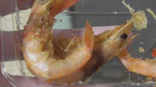 有明産天然芝海老の唐揚げ Deep-fried Shrimp