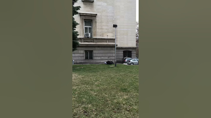 Имате пари за храна на гълъби, а не храните бездомници ?
