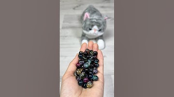 Cat Barsik Beads 🌈😻 Reverse video #cat #asmr #reverse #shorts