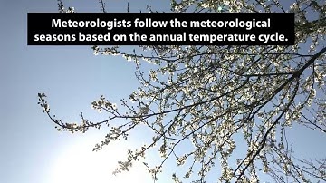 Meteorological Spring and Astronomical Spring – What’s the Difference?