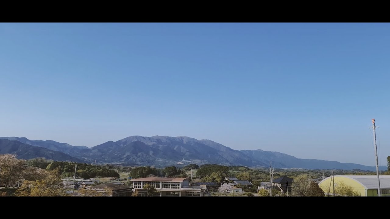 エステ商材卸】【数量限定】MOEGI(モエギ)酵素ドリンク 500mL 