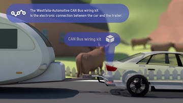 What is a CAN bus wiring system capable of?