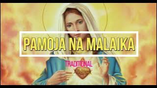 Pamoja Na Malaika | Traditional Marian | Lyrics video