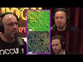 Joe rogan antarctica explosion left carolina bays