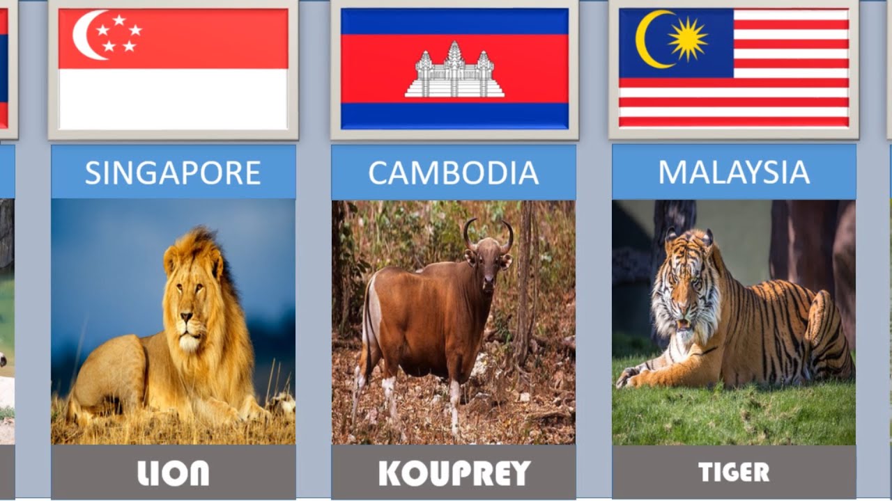 NATIONAL ANIMAL FOR EVERY COUNTRIES IN SOUTHEAST ASIA OR ASEAN - YouTube
