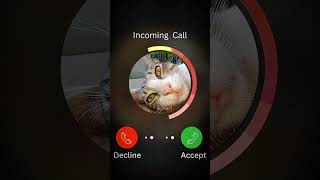 Download Lagu NADA DERING BELONG #shorts #cat #cats #catvideos #catshorts #catlovers #capcut #catslife MP3