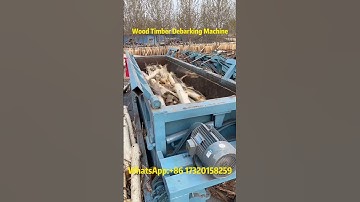 High-Efficiency Wood Log Debarking Machine 🌲 | Fast & Easy Log Peeling#woodprocessing #debarker